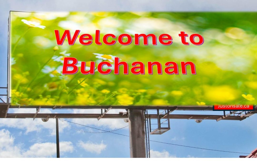 Village of Buchanan